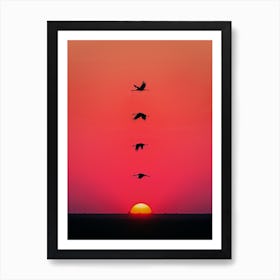 Sunset Birds Art Print
