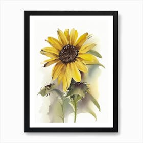 Brown Eyed Susan Wildflower Watercolour Art Print