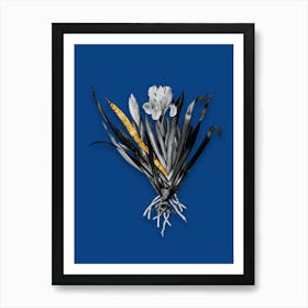 Vintage Crimean Iris Black and White Gold Leaf Floral Art on Midnight Blue n.0260 Art Print