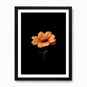 Orange Flower On Black Background 5 Art Print