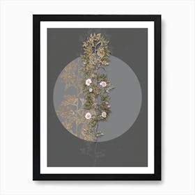 Vintage Botanical Cuspidate Rose on Circle Gray on Gray n.0237 Art Print