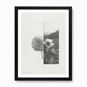 Chrysanthemum Flower Photo Collage 1 Art Print