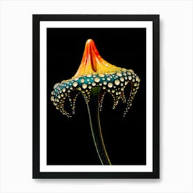 Octopus Flower Art Print