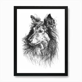 Shetland Sheepdog Dog Line Sketch 2 Art Print