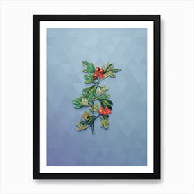 Vintage Morocco Hawthorn Flower Botanical Art on Summer Song Blue Art Print