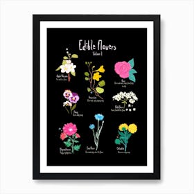 Edible Flowers Art Print