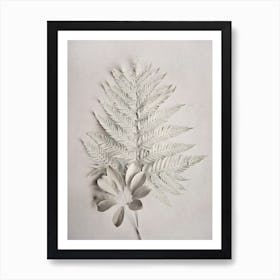 Alabaster Forest 4 Art Print