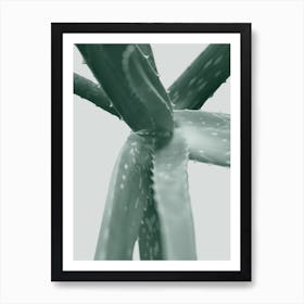 Agave II Art Print