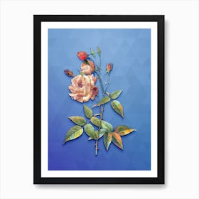 Vintage Common Rose Of India Botanical Art on Blue Perennial n.0075 Art Print