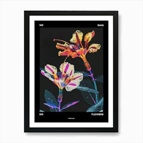 No Rain No Flowers Poster Portulaca 3 Art Print