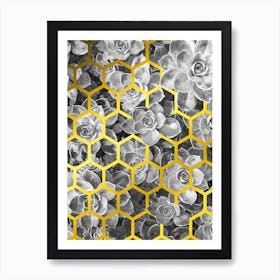 Black and White Succulents and Golden Geometry  Art Print