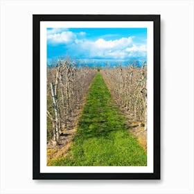 Vineyards 20200301 77ppub Art Print