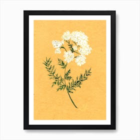 Yarrow Country Wildflower Art Print