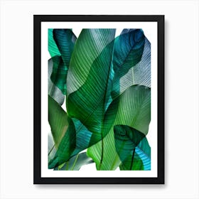 Bali Palm Leaves Blue And Green Art Print