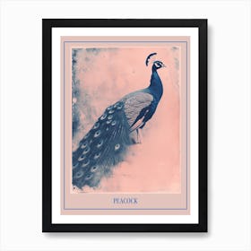 Pink & Blue Peacock Portrait 2 Poster Art Print