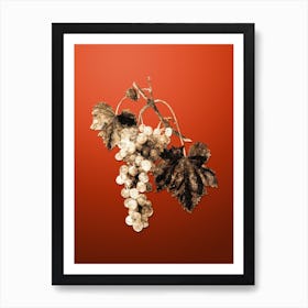 Gold Botanical Muscat Grape on Tomato Red n.4846 Art Print