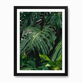 Green Monstera Art Print