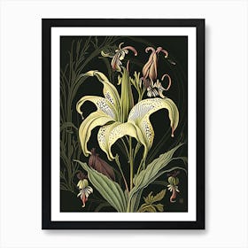 Lilium Floral 3 Botanical Vintage Poster Flower Art Print