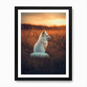 White Fox At Sunset. Generated AI. Art Print Poster