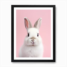 White Rabbit On Pink Background Art Print