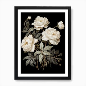 White Roses On Black Background 2 Art Print