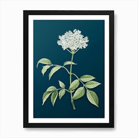 Vintage Elderflower Tree Botanical Art on Teal Blue n.0714 Art Print