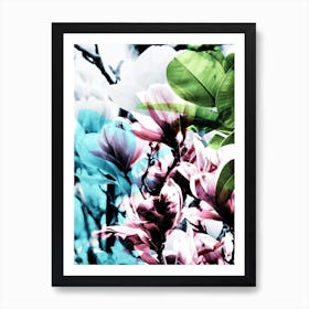 Magnolia II Art Print