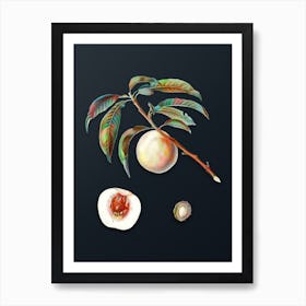 Vintage White Speckled Peach Botanical Watercolor Illustration on Dark Teal Blue n.0272 Art Print