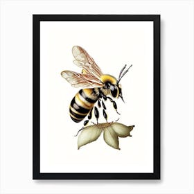 Stinger Bee 6 Vintage Art Print