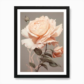 Floral Illustration Rose 3 Art Print