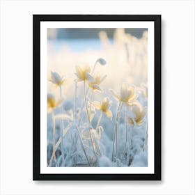 Frosty Botanical Winter Aconite 3 Art Print