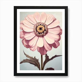 Floral Illustration Zinnia 1 Art Print