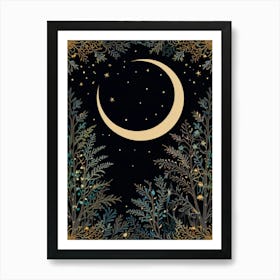 Moon And Stars Art Print