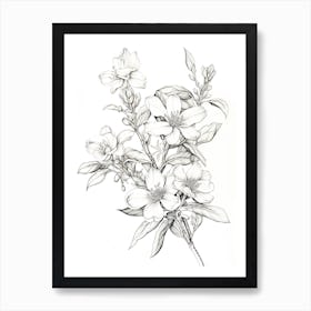 Jasmine Flower Vintage Botanical 2 Art Print