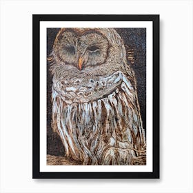 Barred Owl Art Print