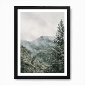 Mountain Range View Art Print