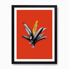 Vintage Boat Lily Black and White Gold Leaf Floral Art on Tomato Red n.0402 Art Print