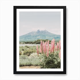 Pink Mountain Lupine Flowers Art Print