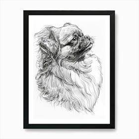 Pekingese Dog Line Sketch 2 Art Print