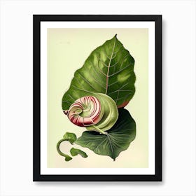 Garden Snail Eating A Leaf 1 Botanical Art Print