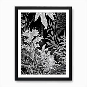 Botanischer Garten München Nymphenburg, 1,  Germany Linocut Black And White Vintage Art Print