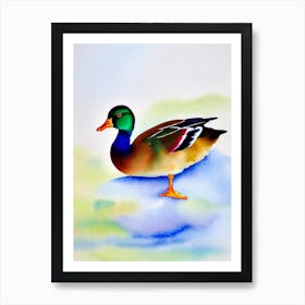 Mallard Duck Watercolour Bird Art Print