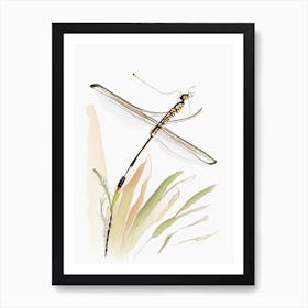 Widow Skimmer Dragonfly Pencil Illustration 1 Art Print