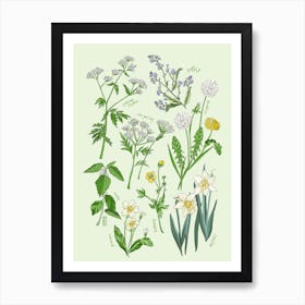Spring Flora Green & Cream Art Print
