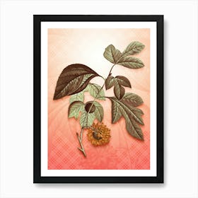 Paper Mulberry Flower Vintage Botanical in Peach Fuzz Tartan Plaid Pattern n.0262 Art Print