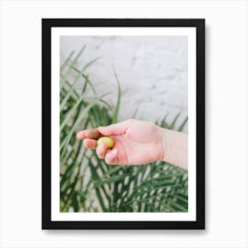 Hand Holding Almond Art Print