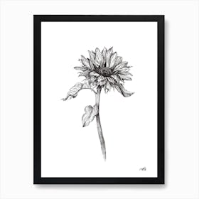 Black and White Sunflower Right Art Print
