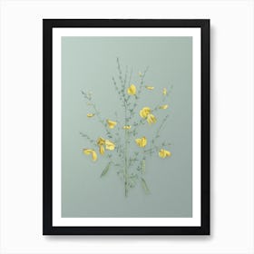 Vintage Yellow Broom Flowers Botanical Art on Mint Green n.0552 Art Print