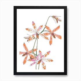 Tiger Orchids Art Print