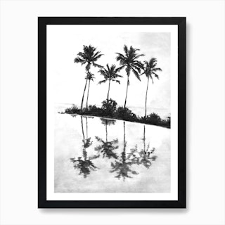 Palm Tree Reflections Black Art Print